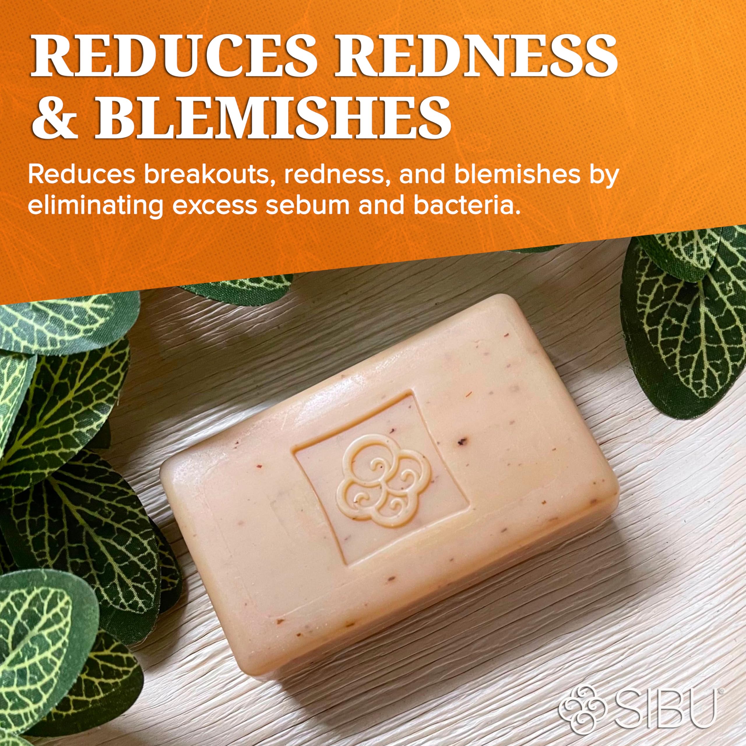 Sibu International Cleansing and Detoxifying Facial Bar Soap - 3.5 oz - Pack of 3